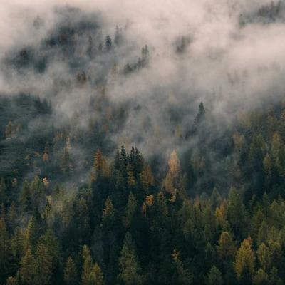 Horizon Lift