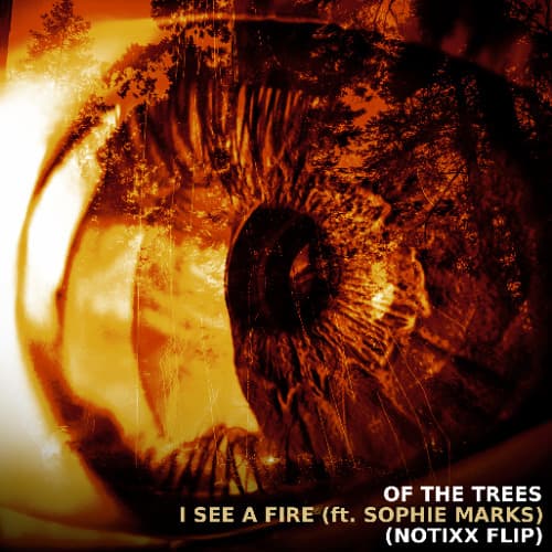Of The Trees - I See A Fire ft. Sophie Marks (Notixx Flip)