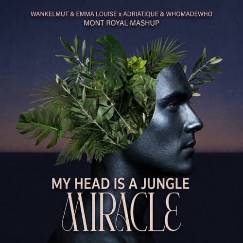 FILTERED & PITCHED FOR COPYRIGHT My Head Is A Jungle X Miracle - Adriatique,WhoMadeWho - Mont Royal Mashup