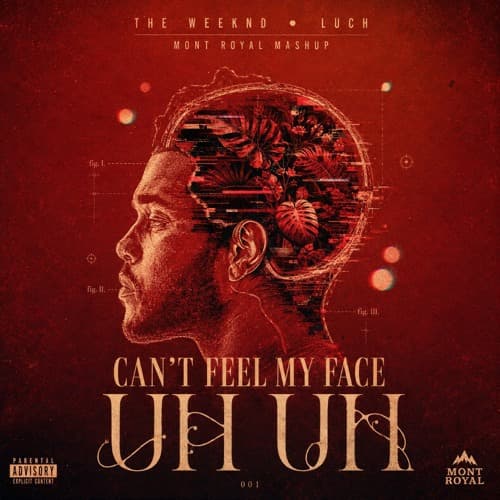 SKIP AT 3:11 FOR COPYRIGHT Can't Feel My Face X UH UH - The Weeknd, Luch - Mont Royal Mashup