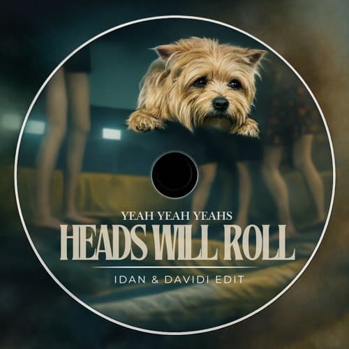 Yeah Yeah Yeahs - Heads Will Roll (IDAN & DAVIDI Edit)
