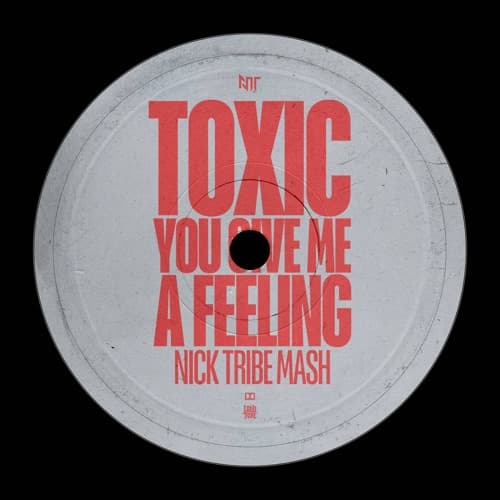 Britney Spears vs James Hype & Vintage Culture - TOXIC You Give Me A Feeling (Nick Tribe Mashup)