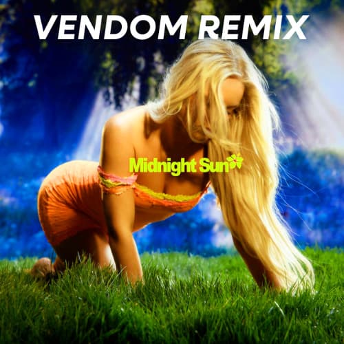 Zara Larsson - Midnight Sun (Vendom Remix)