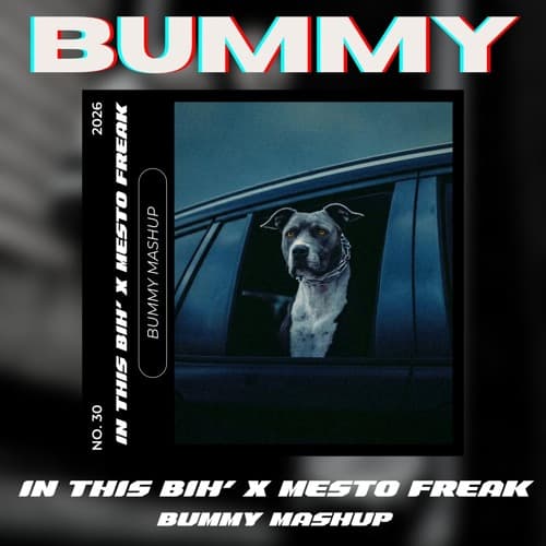 In This Bih' x Mesto - BUMMY Mashup (10 Min for Copyright)