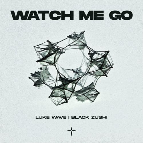 Luke Wave & Black Zushi - Watch Me Go