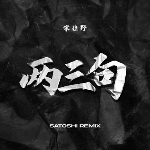 宋佳野 - 两三句 (SATOSHI Remix)