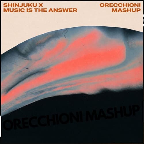 SHINJUKU X MUSIC IS THE ANSWER ( (ORECCHIONI MASHUP)