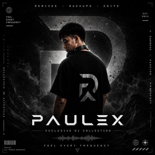Sean Kingston - Beautiful Girl (Paulex Mashup)