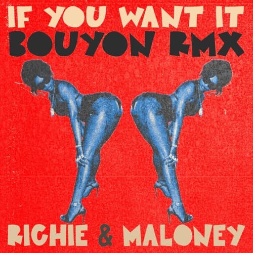 IF YOU WANT IT BOUYON RMX (RICHIE & MALONEY EDIT) .mp3