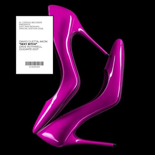 David Guetta, Akon - Sexy Bitch (Dave Ruthwell, DUGARTE Edit) *BANDCAMP EXCLUSIVE*