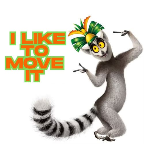 5HOURS - I Like To Move It (DJ TIMO x Leon Music x Deenasty Remix)