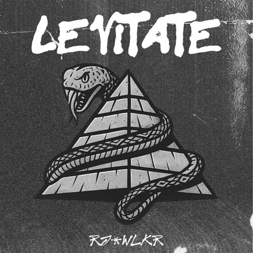 LUMASI, DAGGZ - LEVITATE (RJ WLKR FLIP)