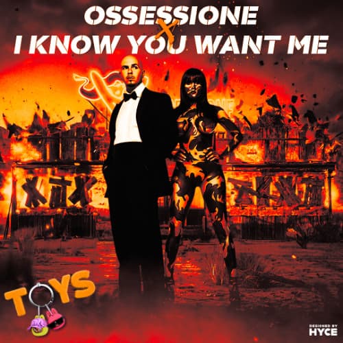 Ossessione x I Know You Want Me (TOYS Mashup)