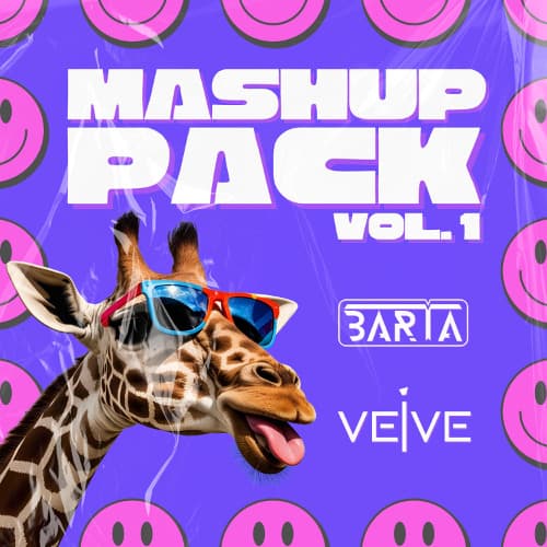 BARTA & VEIVE MASHUP PACK Vol.1