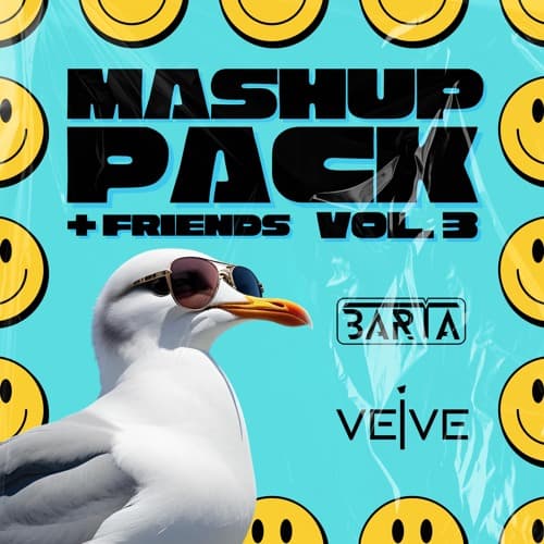 BARTA & VEIVE MASHUP PACK Vol.3