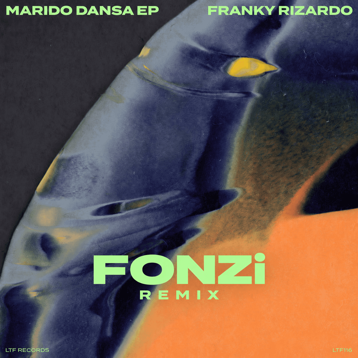Franky Rizardo- Marido Dansa (FONZi Remix)