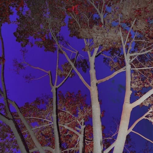 Cali Man - EsDeeKid and Rico Ace (Grüv Pool Flip)