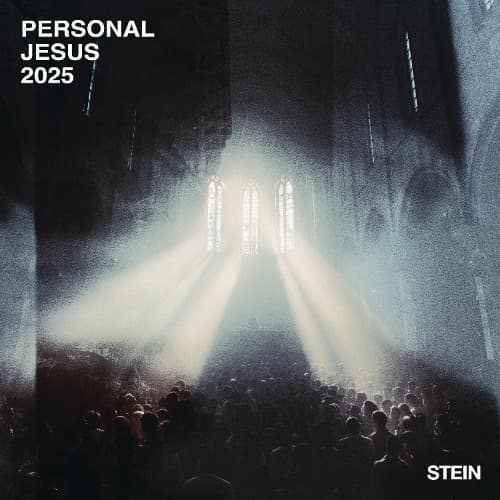 Depeche Mode - Personal Jesus (STEIN 2025 Remix)