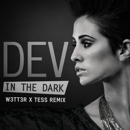 Dev - In The Dark (W3TT3R x TESS REMIX)