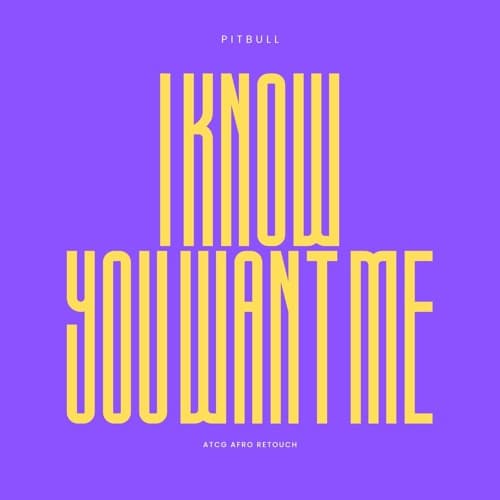 PitbulI - I Know You Want Me (ATCG Afro Retouch)