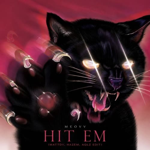 Hit Em (Mattdy,Hazem & AQLZ Edit)