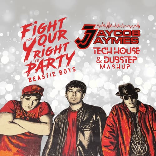 Beastie Boys - Fight For Your Right (Jaycob Jaymes Mashup)