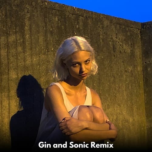 Artemas - i like the way you kiss me (Gin and Sonic Remix)