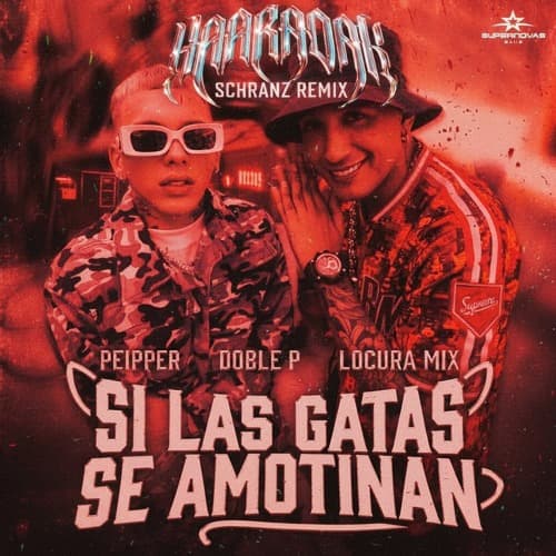 Peipper - Si Las Gatas Se Amotinan (Haaradak Schranz Remix)