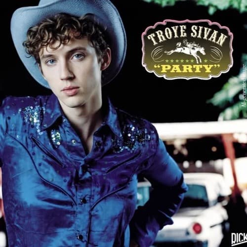 Troye Sivan v Purple Disco Machine - Party, All I Want (Dallas Downs Nudisco Mashup)
