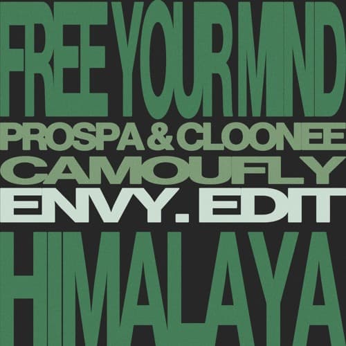 Free Your Mind (envy. 'Himalaya' Edit) - Prospa & Cloonee x camoufly