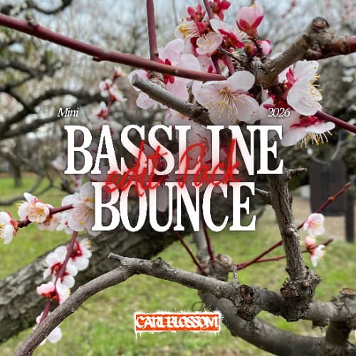 Shake Ur A$$ Down (Carl Blossom Edit) *BUY=FreeDL*