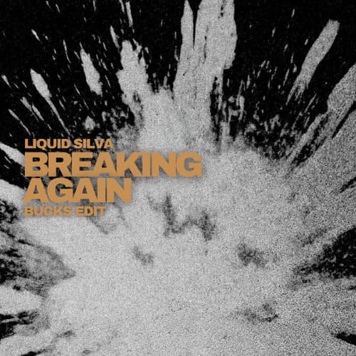 Breaking Again (Bucks Edit)