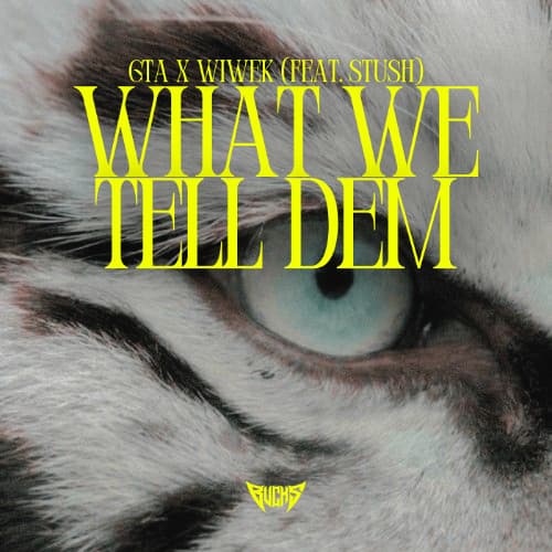 What We Tell Dem (Bucks Edit)