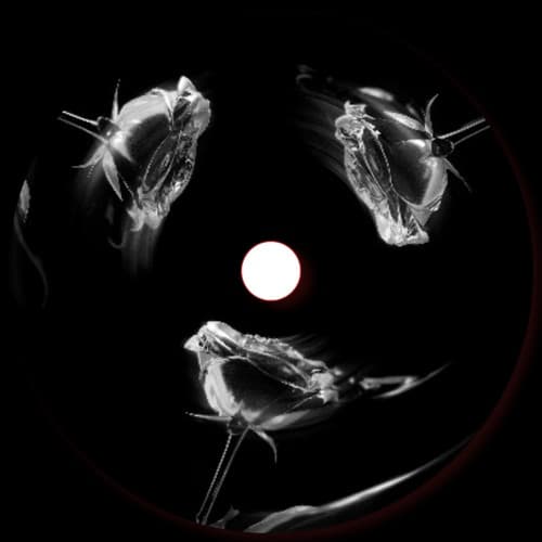 Prospa, Cloonee - Free Your Mind (FIRERA EDIT)