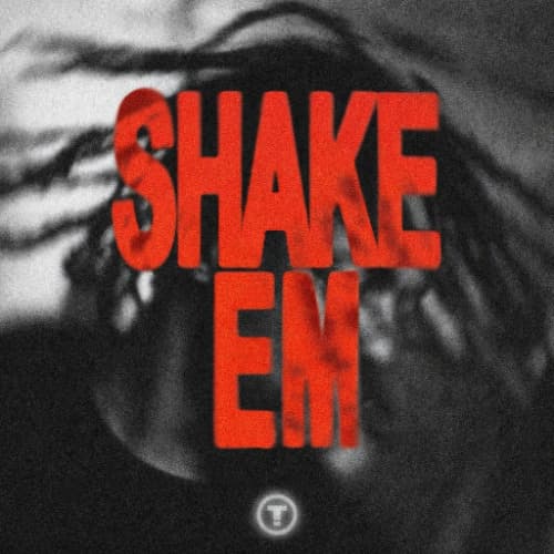 TroyBoi ft. Destiny's Child - SHAKE'EM (Lost Pleasure Mashup)