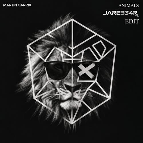 Martin Garrix- Animals (JareB34R Edit)