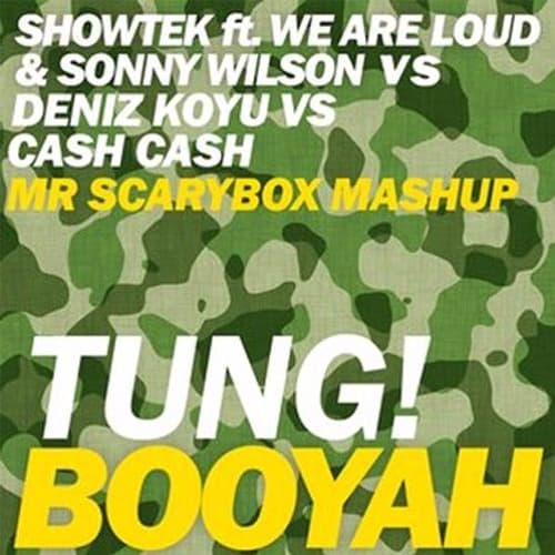 Tung! Booya - Showtek VS Deniz Koyu VS Cash Cash (Mr Scarybox Mashup)