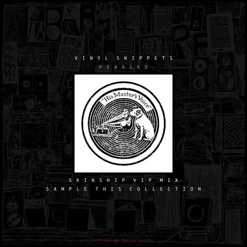 Vinyl Snippets - SKINSHIP VIP MIX (feat. Peabird)