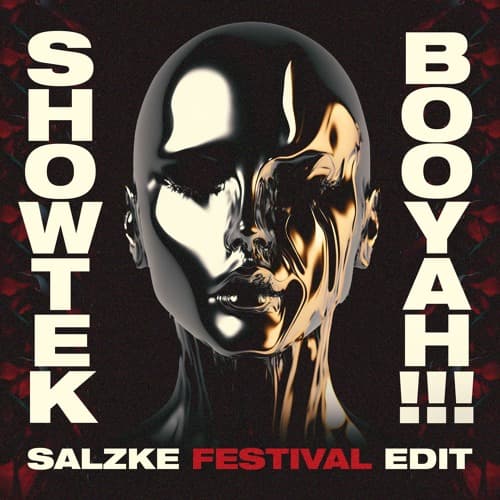 Showtek - Booyah! (Salzke Edit)