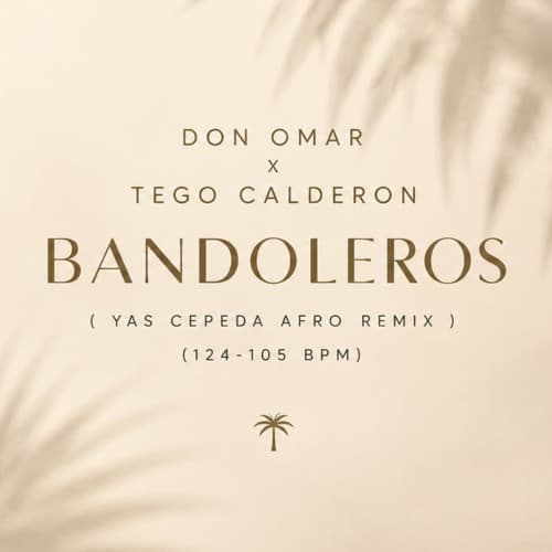 Don Omar x Tego Calderon - Bandoleros ( Yas Cepeda Afro Remix )