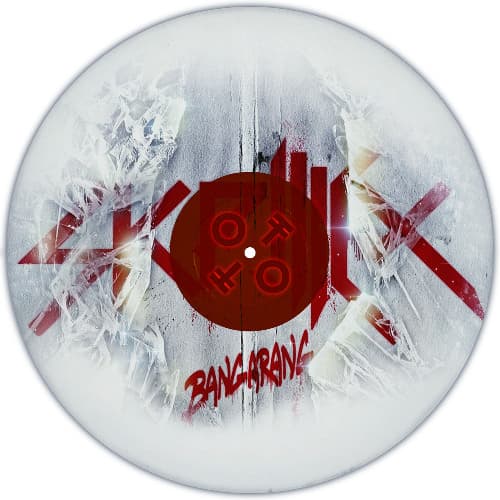 Skrillex - Bangarang (OTTO Remix)