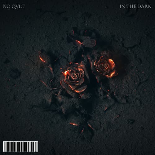 NO QVLT - In The Dark