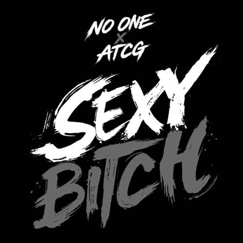David Guetta, Akon - Sexy Bitch (No One, ATCG Remix)