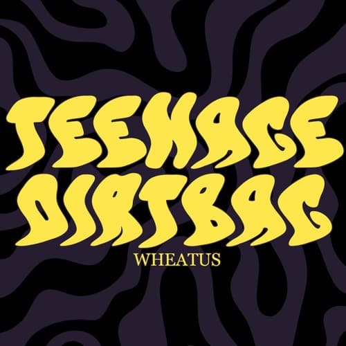 Wheatus - Teenage Dirtbag (Wednesday Club Remix)