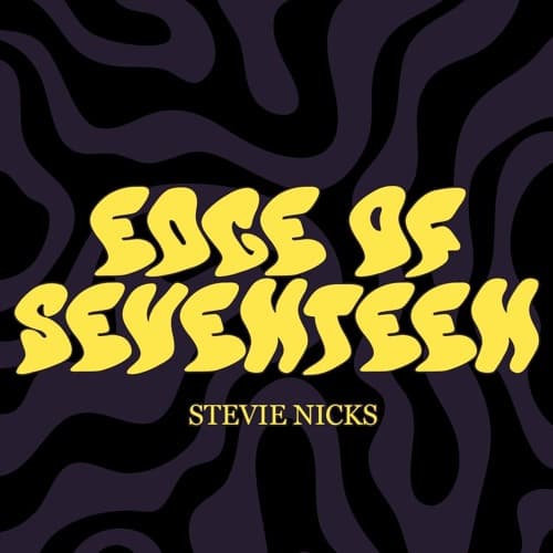 Stevie Nicks - Edge of Seventeen (Wednesday Club Remix)