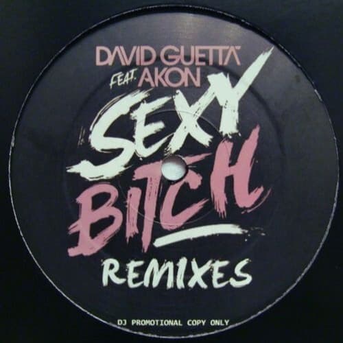 FLØW STATE - Sexy Bitch
