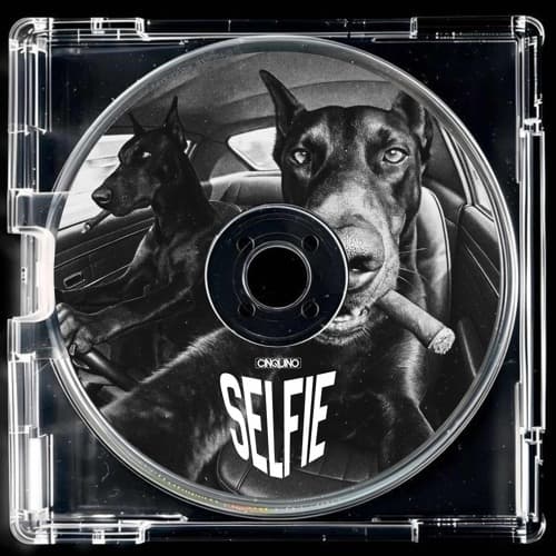 The Chainsmokers - #SELFIE ( CINQUINO REMIX )