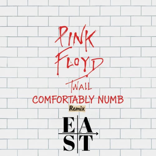 Pink Floyd - Comfortably Numb (EAST FLIP)