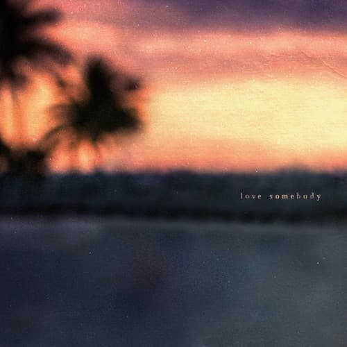 Love Somebody (Rivas 'Have It All' Edit) (Clean Extended)