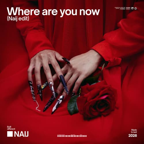 SKRILLEX x JUSTIN BIEBER - WHERE ARE U NOW (NAIJ HARD TECHNO EDIT)